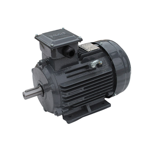 Max E1 Industrial Motor